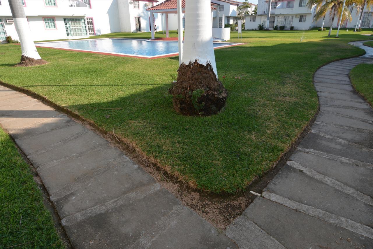 Hominngbird Acapulco Exteriér fotografie